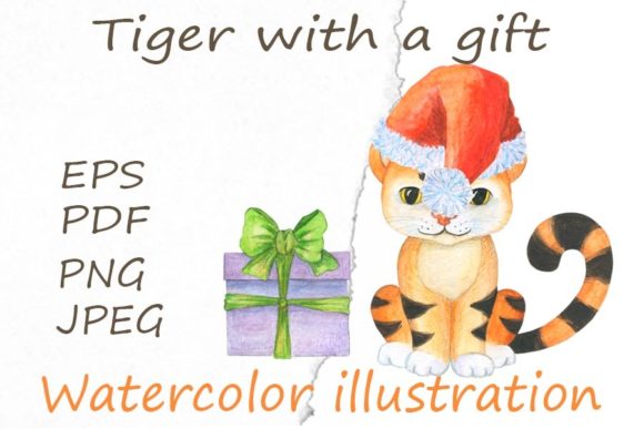 A Tiger with a Gift. Watercolour Illustrations