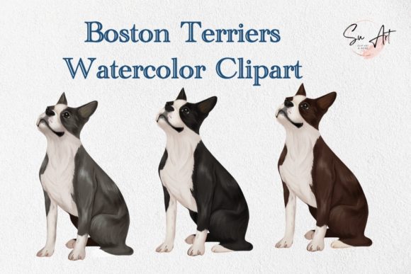 Boston Terrier Watercolor Dog Clipart