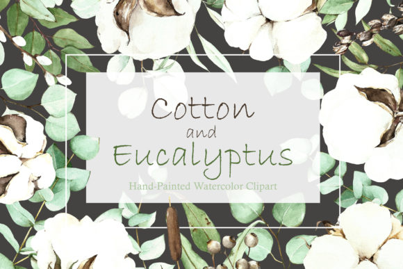 Cotton, Eucalyptus Watercolor Collection