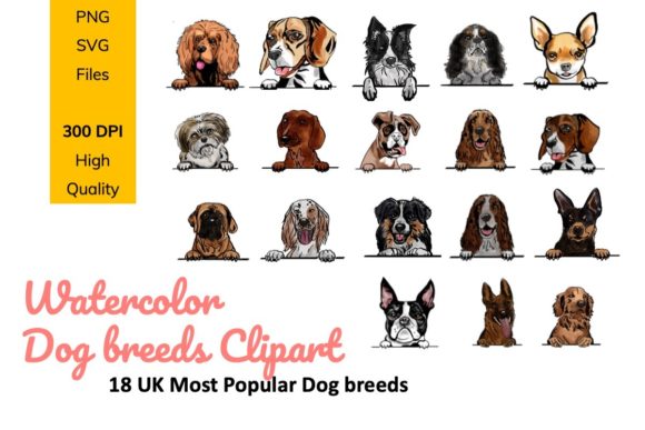 Dog Breeds Watercolor Frontview Clipart and Illustrations