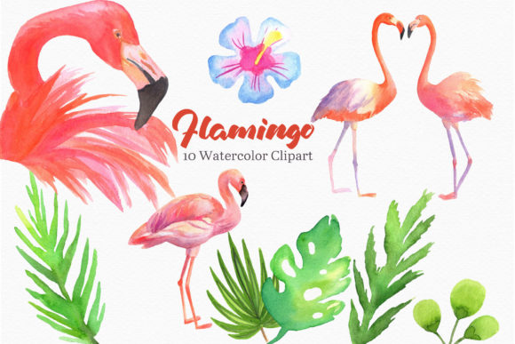 Flamingo Clipart Watercolor Tropical Illustrations