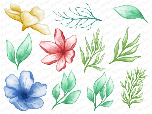 Flowers Watercolor Arrangement Illustrations