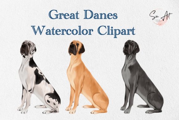 Great Dane Dog Watercolor Clipart and Illustrations