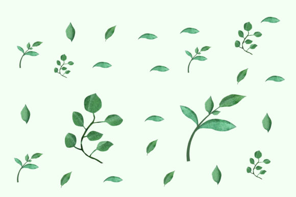 Handdrawn Watercolor Leaf Branches