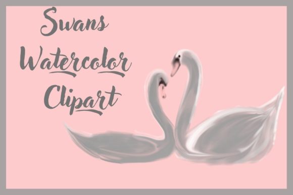 Swans Watercolor Clipart and Illustrations