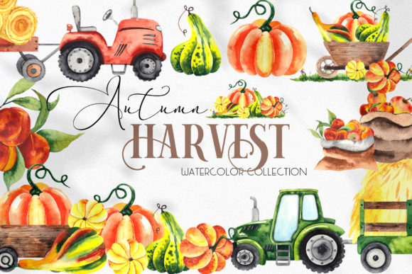 Watercolor Autumn Harvest Illustrations