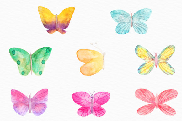 Watercolor Butterfly Clipart Review