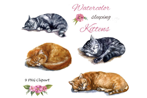 Watercolor Clipart Cat and Wreaths Png Illustrations
