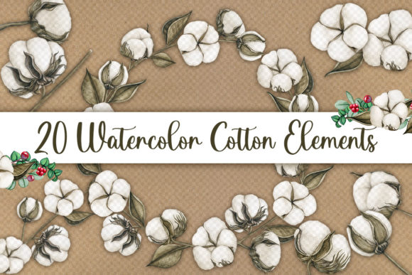 Watercolor Cotton Flowers Boho Elements Illustrations
