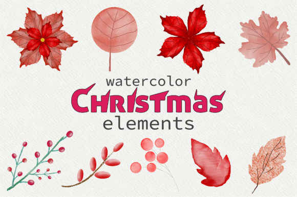Watercolor Flowers and Illustrations