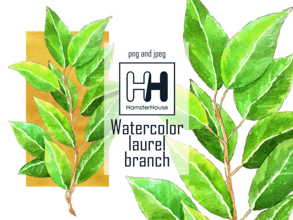 Watercolor Green Laurel Branch Illustrations