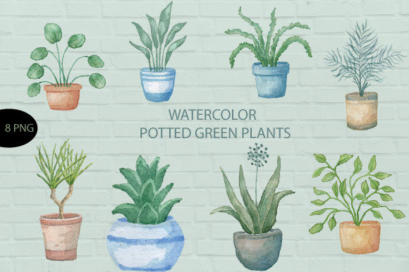 Watercolor Hand Drawn Potted Plants,594 Illustrations