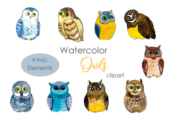 Watercolor Owls Clipart Cute Baby Birds Illustrations