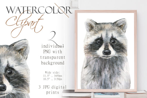 Watercolor Racoon Clipart Wood Animal Illustrations