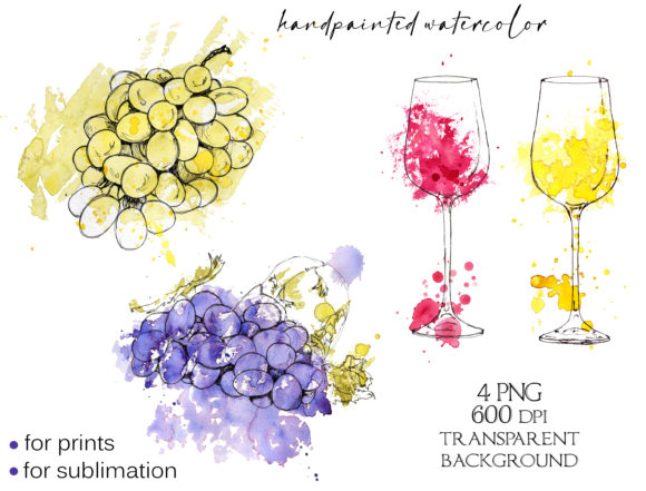 Watercolor Splashes Wine and Grapes Illustrations