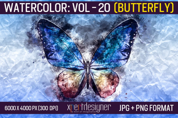 Watercolor Vol - 20 Butterfly Illustrations